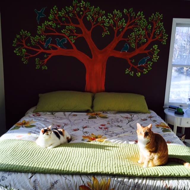 39020024 10156711039984571 5566038772484669440 n