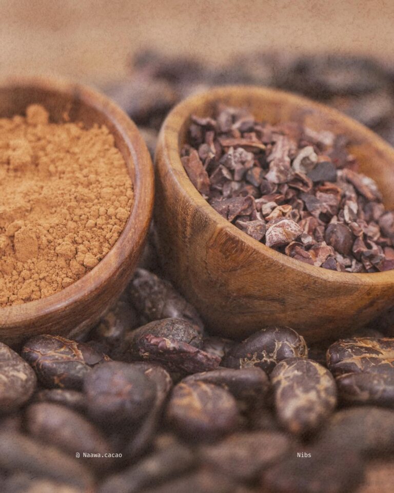 640435517 17894521893417201 1939365233686706548 n 768x961